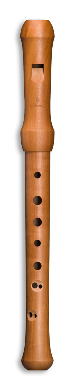 M:\Faktura-Onlineshop\FOTOS SHOP SEDULUS\Musikinstrumente\19142-1.jpg