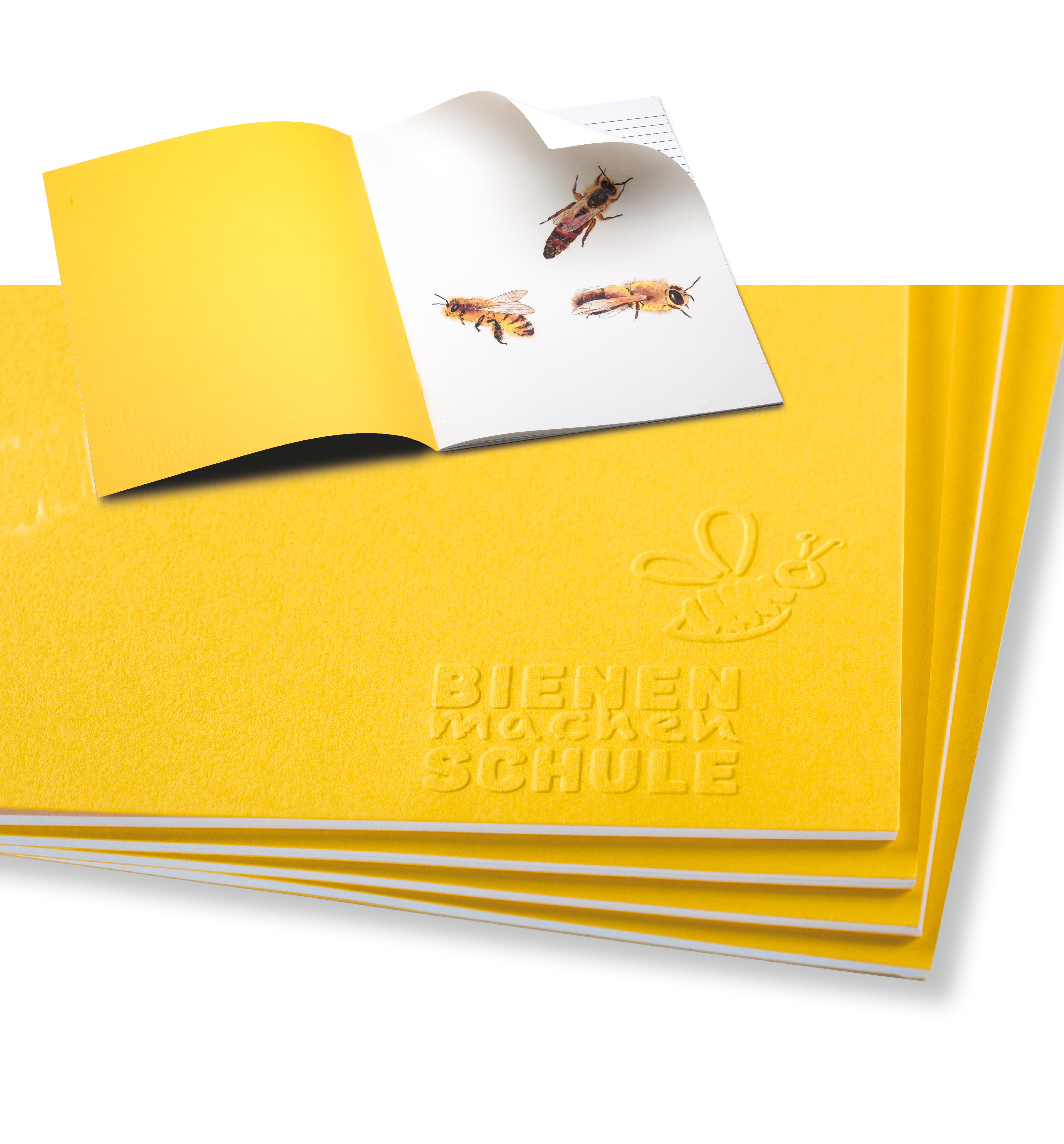 M:\Faktura-Onlineshop\FOTOS SHOP SEDULUS\Bienenhefte und Spiral\bienenheft_1.jpg