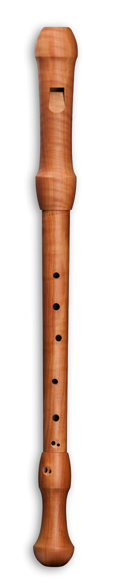 M:\Faktura-Onlineshop\FOTOS SHOP SEDULUS\Musikinstrumente\19442-1.jpg