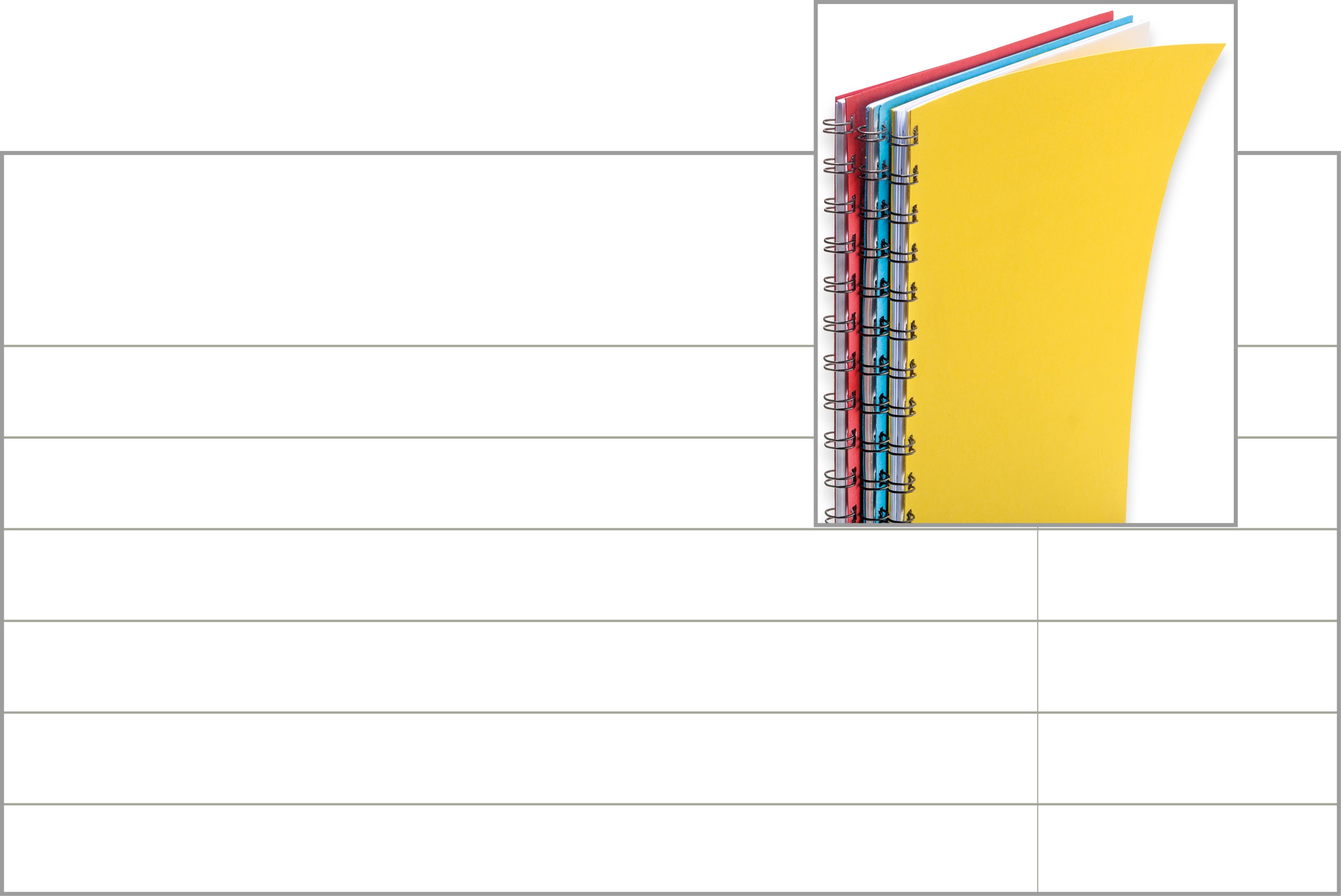 M:\Faktura-Onlineshop\FOTOS SHOP SEDULUS\Spiral International\SpíInter.jpg